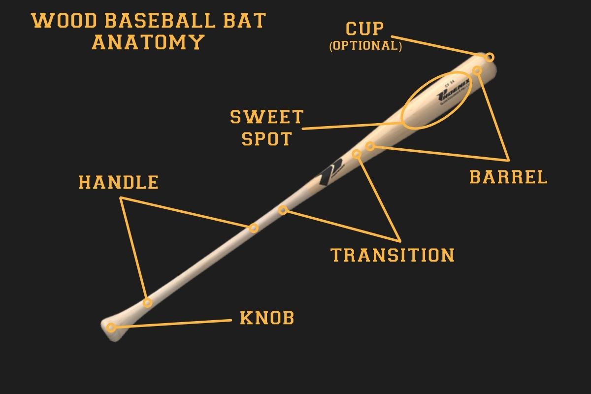 The Definitive Bat Sizing Guide How To Get The Right Bat For You