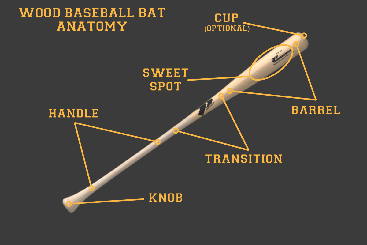 Definitive Bat Sizing Guide How to Get the Right Bat for You Phoenix