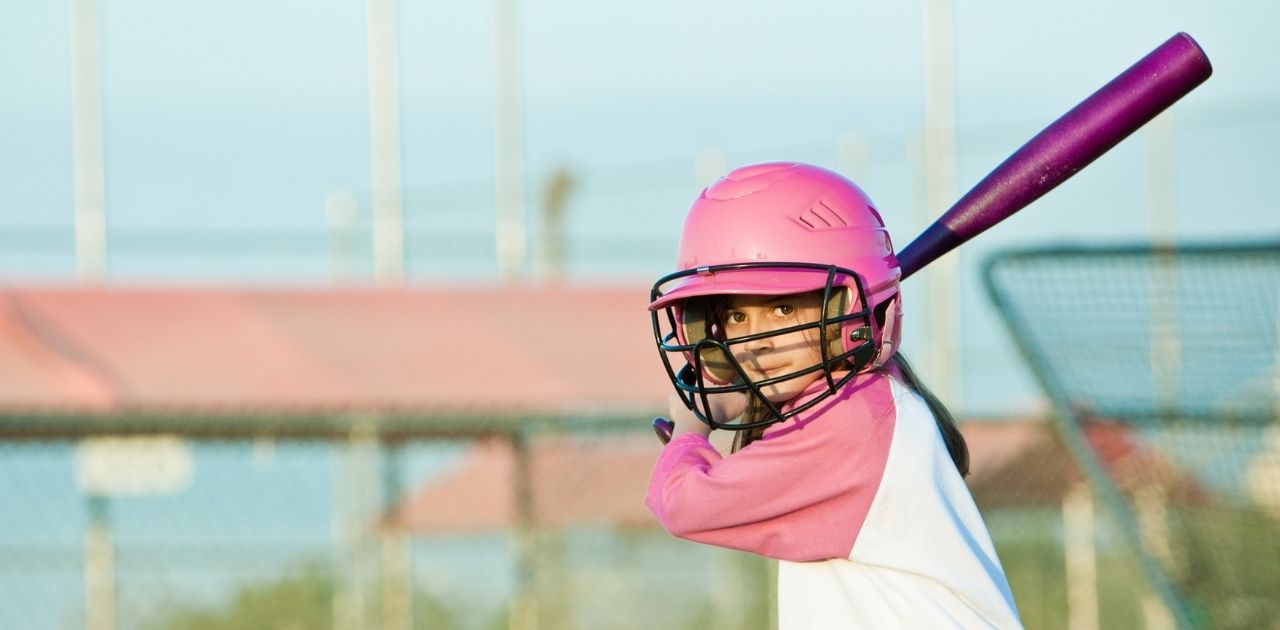 Birdman Pink Highlight Series Maple Bat - Hit After Hit